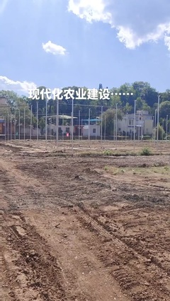 鼎尚銘 專注網(wǎng)絡(luò)技術(shù)開發(fā)，賦能數(shù)字化未來